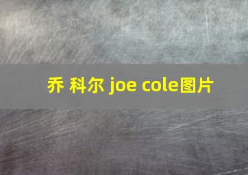 乔 科尔 joe cole图片